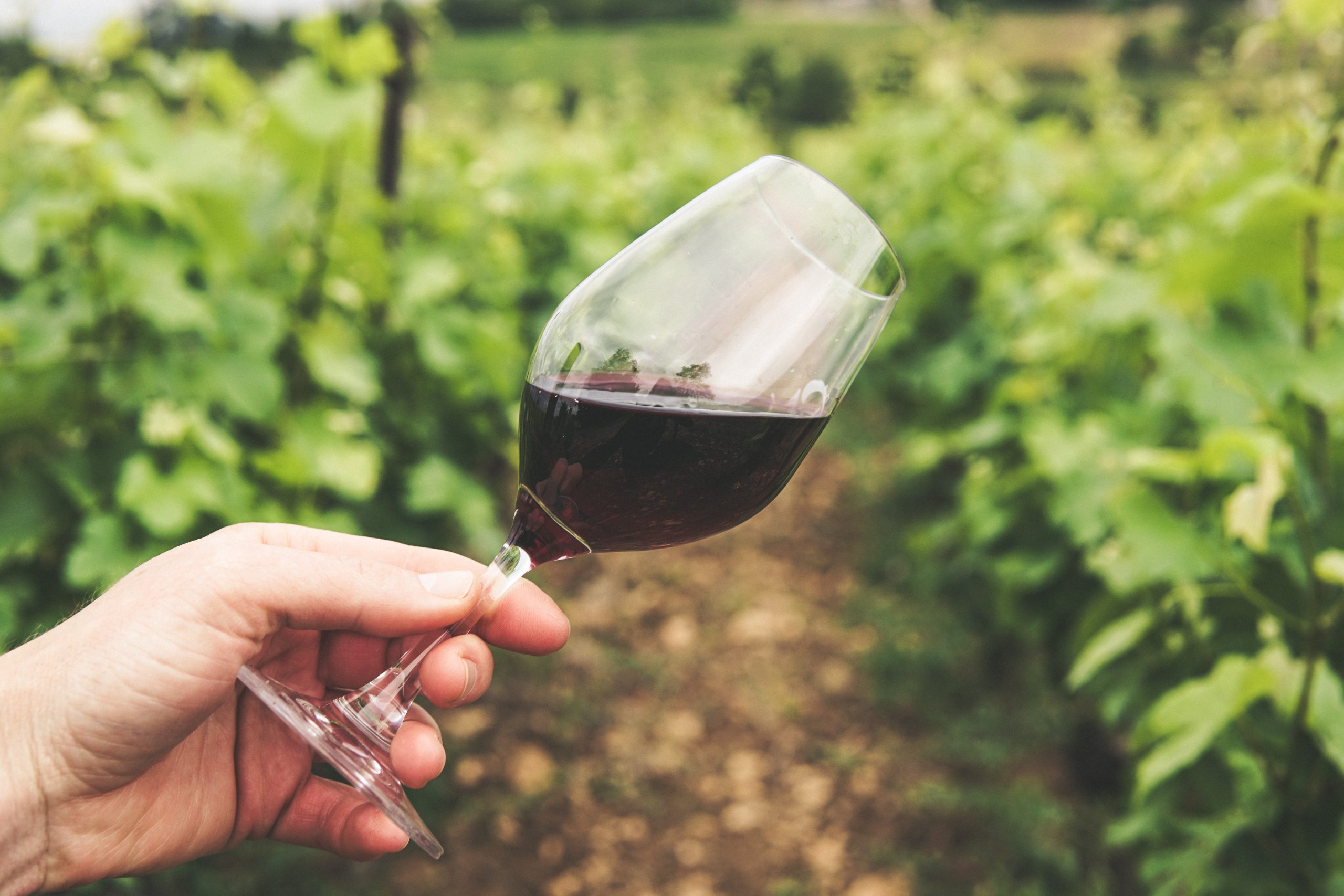 Ecommerce for wineries - How to sell my wine online