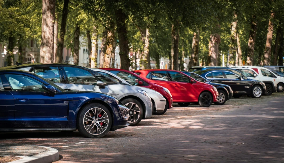 A row of cars parked along a tree-lined street, representing an automotive industry digital marketing project