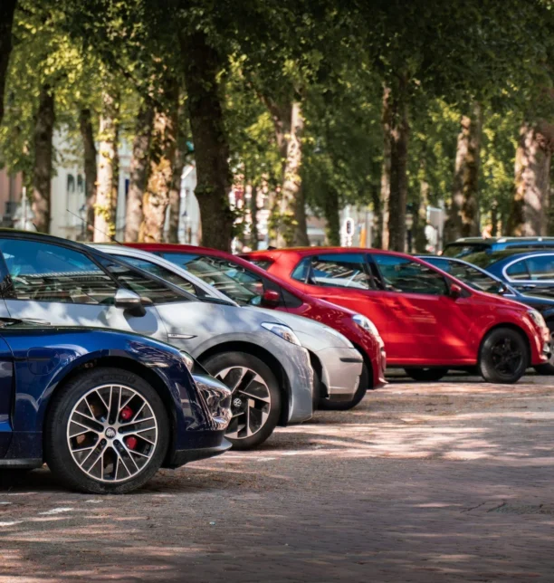 A row of cars parked along a tree-lined street, representing an automotive industry digital marketing project